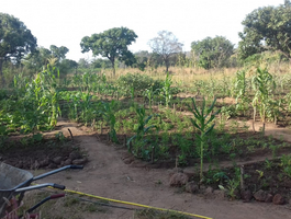 Réinsertion de personnes vivant avec le VIH et autopromotion en agriculture durable Réinsertion de personnes vivant avec le VIH et autopromotion en agriculture durable