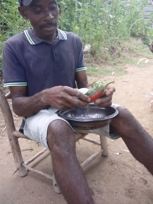 Homme qui produit des poivrons