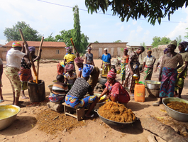Renforcement du tissu économique par la valorisation des filières huile de palme et manioc