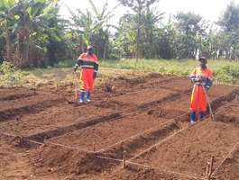 Reboisement à Mwenga Reboisement à Mwenga